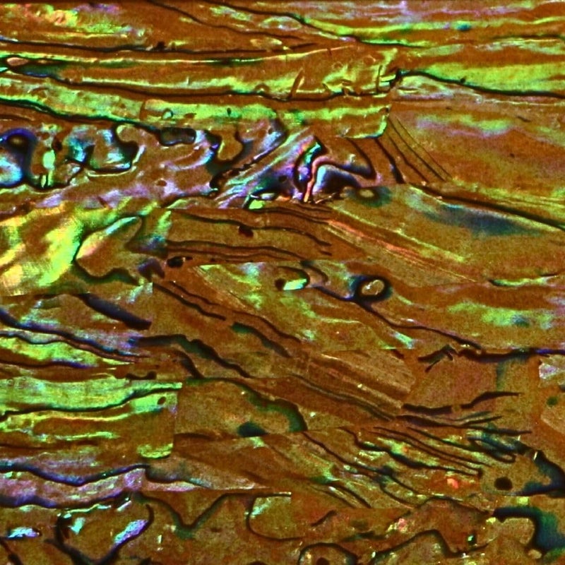 Ocean Shell Studios. Abalone Shell Inlay Veneer for DIY or Professional Inlay Embellishments - Sustainable New Zealand Paua Tiger Eye- With 3M Double Sided Tape Backing - 9.45"X2.75" - Image 1